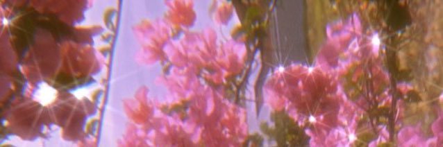 Kelli🌻 banner