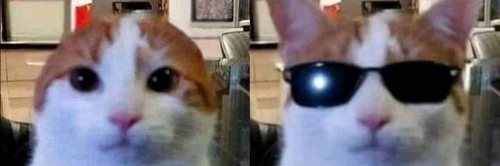 Pahruu 🍊,💊 banner