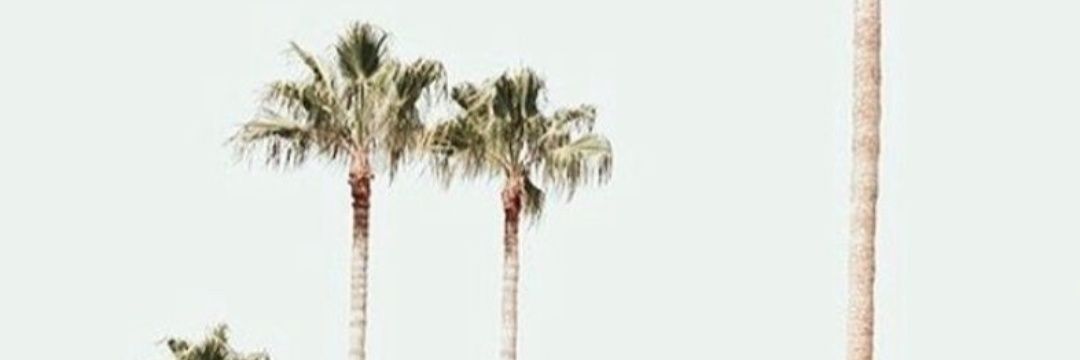 De̶e̶🦋✨'s banner