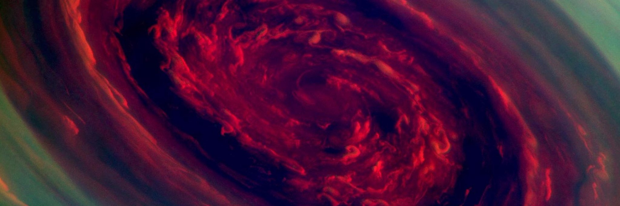 timbucki's profile banner image
