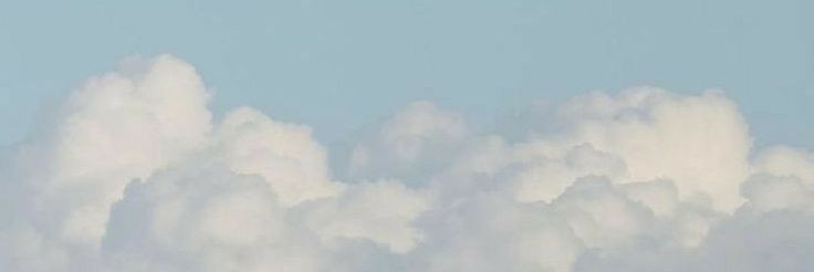 liana banner