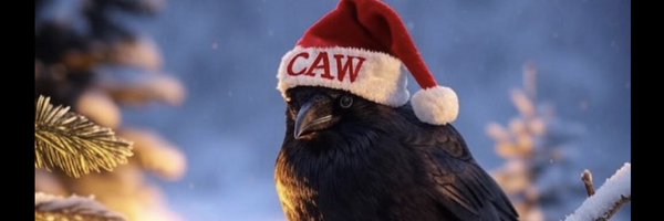 WQg4lA28OpOlXEh Profile Banner