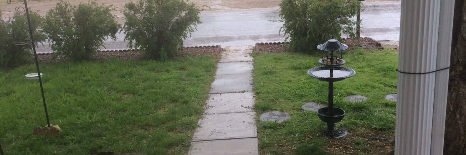BellAnnlynette2's profile banner image