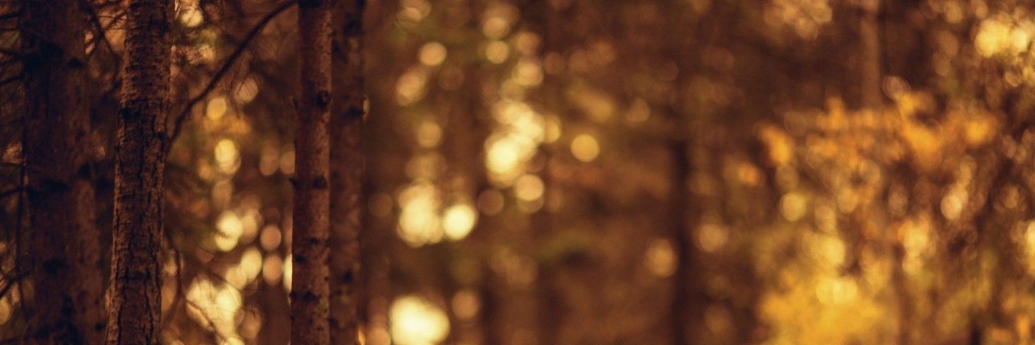 rizkavntg's profile banner image