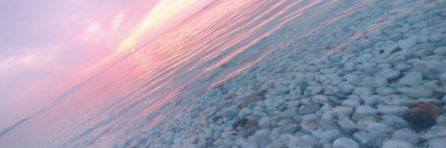 lotus_kingdom's profile banner image