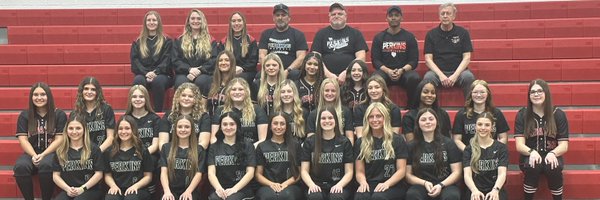 SoftballPerkins Profile Banner