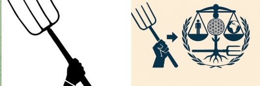 FWO - JohannesH banner