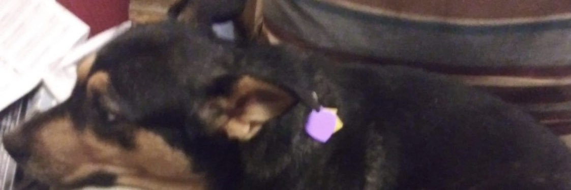 Carla Williams banner