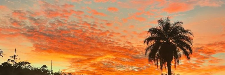 a_matiashuber1's profile banner image