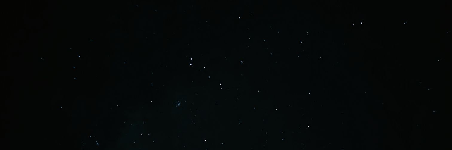 gwizzly's profile banner image