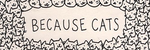 absyeh_'s profile banner image