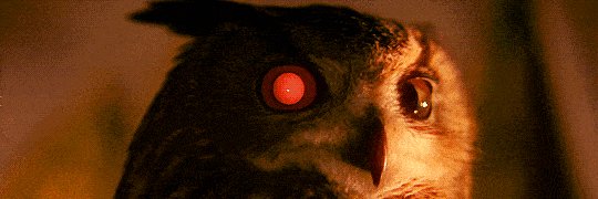 _oxymoronic's profile banner image
