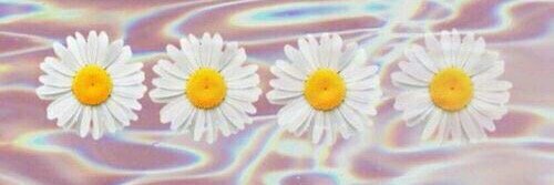 ICarlee23's profile banner image