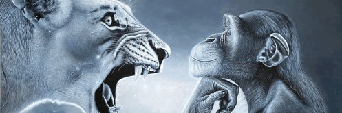 calebdrm's profile banner image