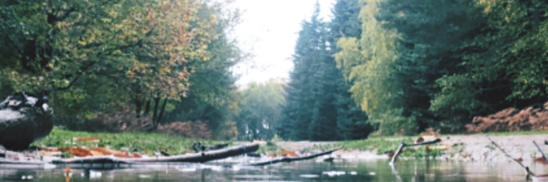 Remi 🌞 banner