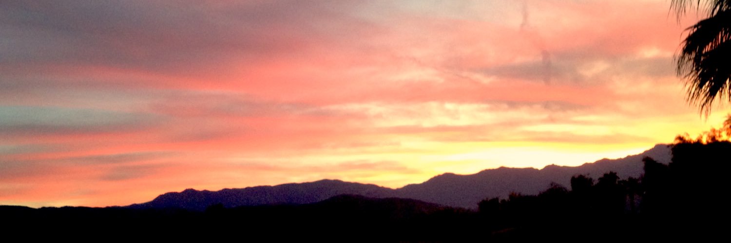 Raghu Vadarevu banner