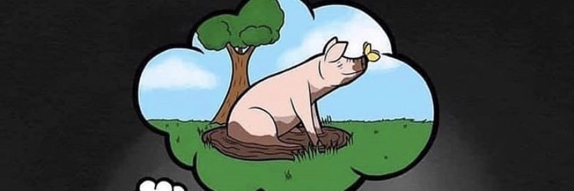 pepemxdf's profile banner image