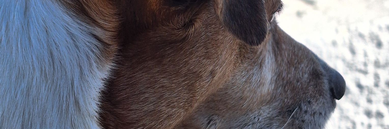 katrinMatrix's profile banner image