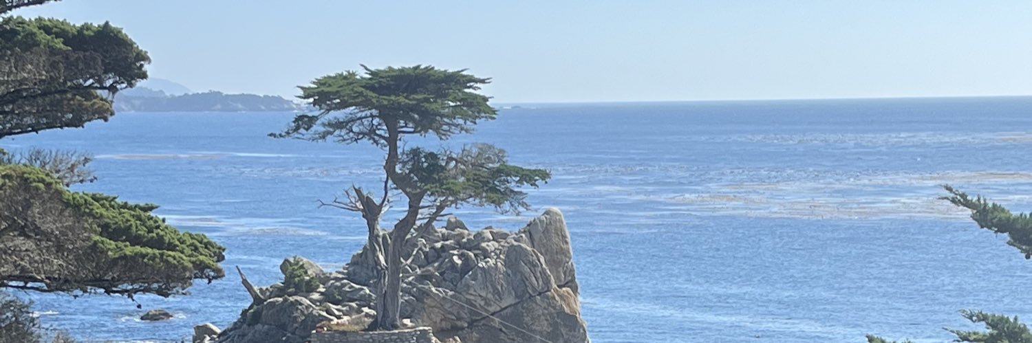 pau✨✨✨✨✨✨ banner