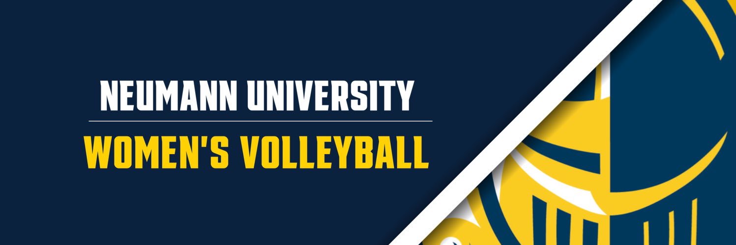 Neumann Volleyball banner