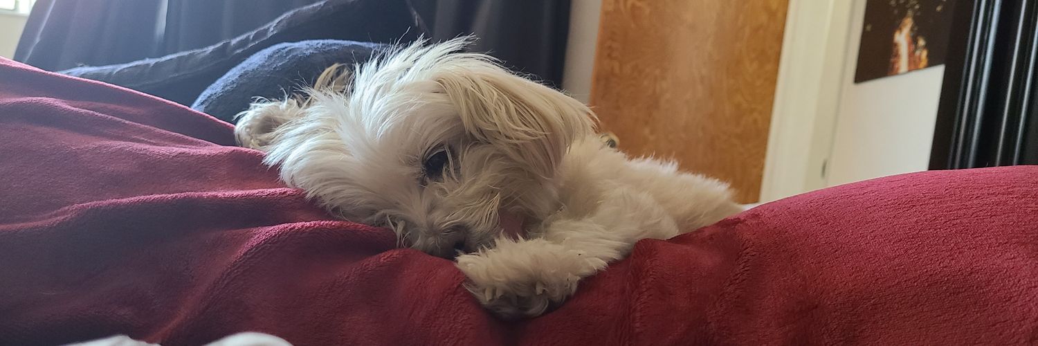 Coral Reefer 🏳️‍⚧️🏳️‍🌈🏳 banner