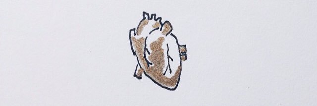 harrygrinds's profile banner image