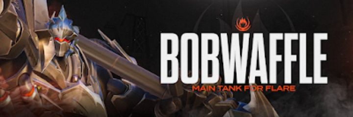 Bobwaffle banner