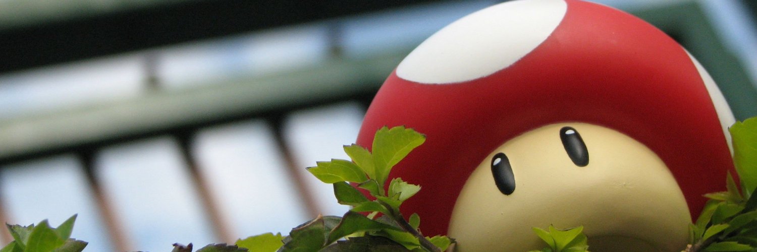shr00mcat's profile banner image