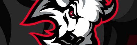 Mike B. 🇺🇸🦬🏈🌴 banner