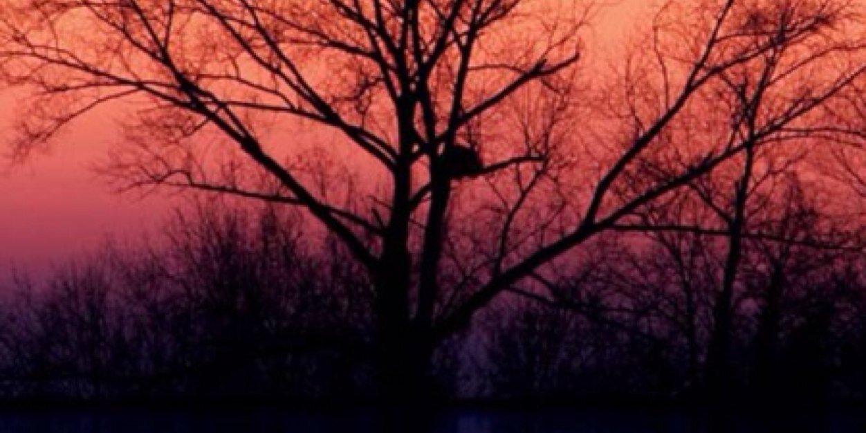 Mon_esp04's profile banner image