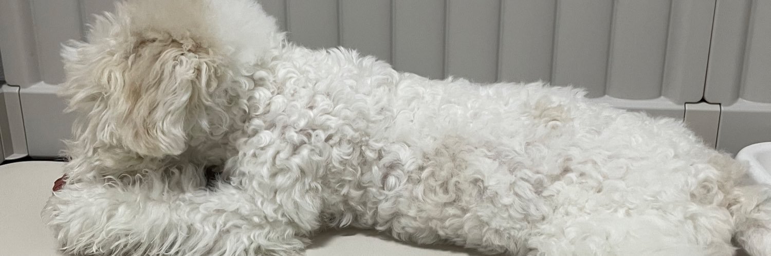 yuuto11111's profile banner image