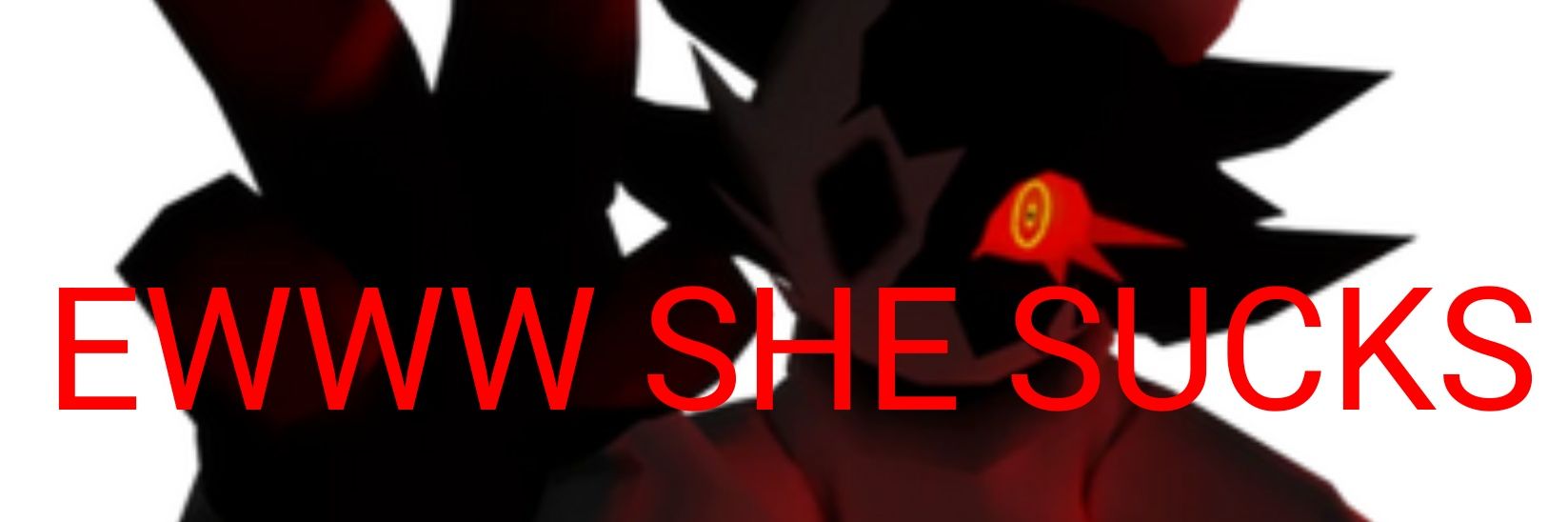 #1 FOLLY HATER!!!! banner