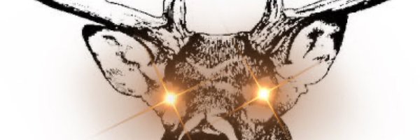 BucknSF Profile Banner