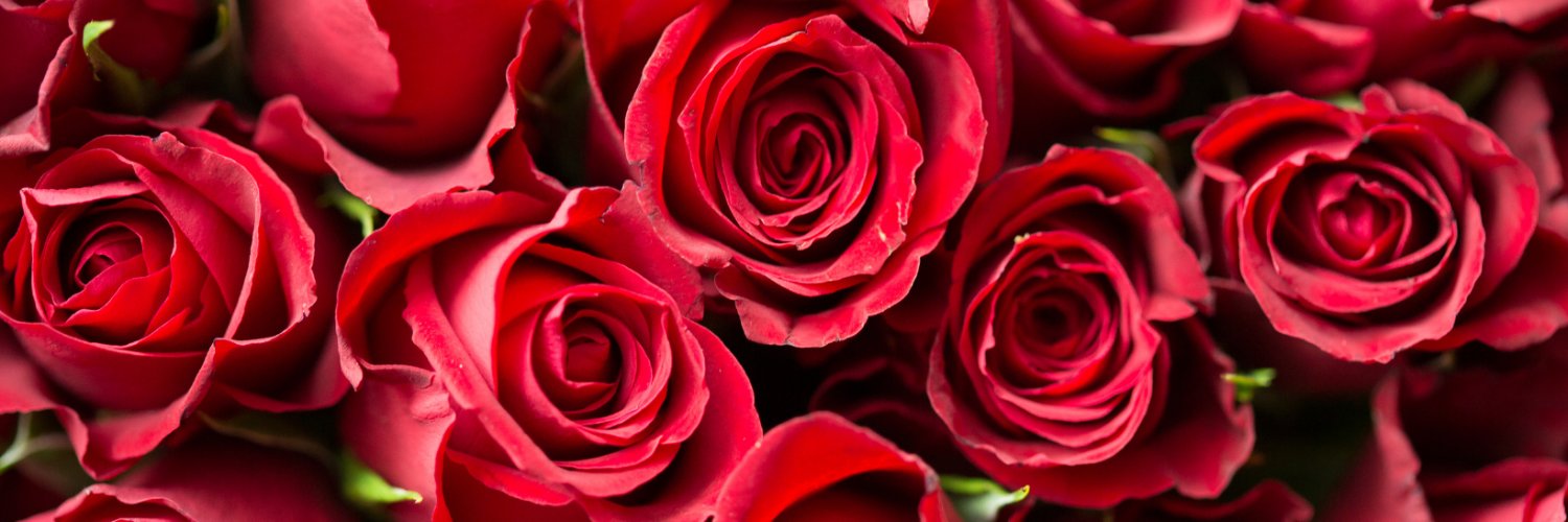 🌹❤️‍🔥Adeline (Addie) Myles❤️‍🔥🌹's banner
