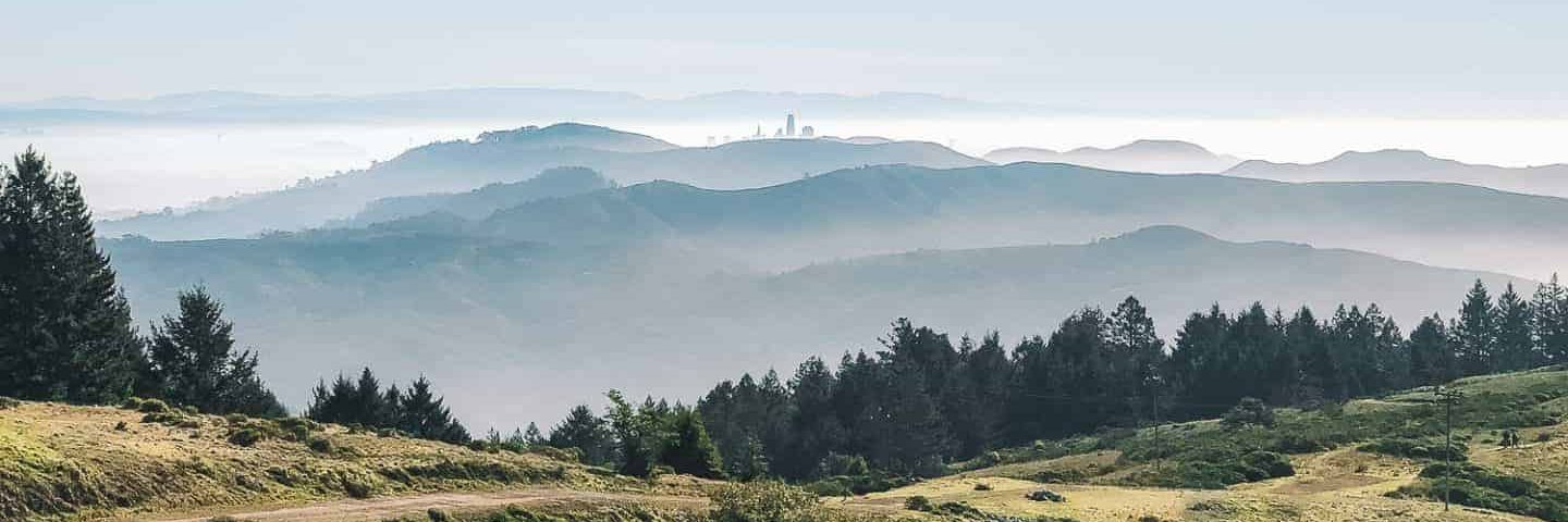 Danny Boisson banner