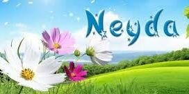 NEYDA_LOBO's profile banner image