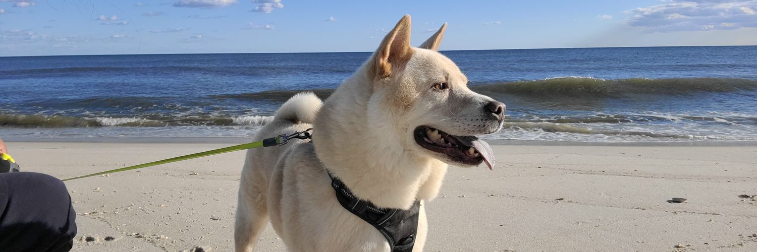 kummi97's profile banner image