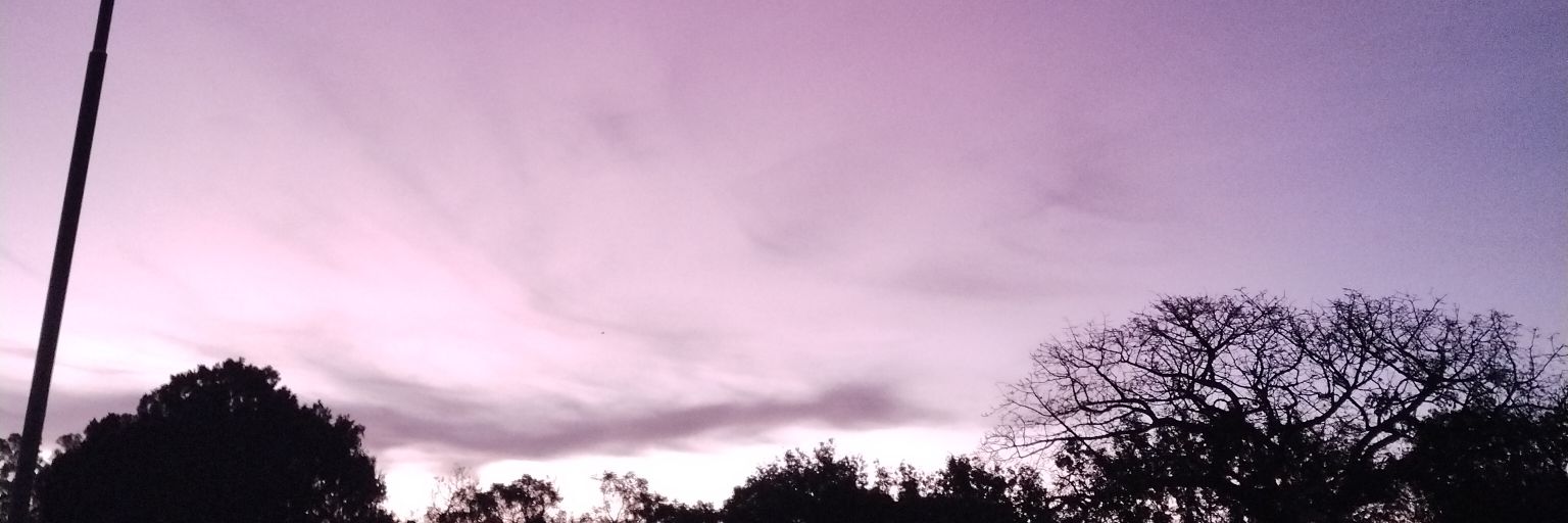 KateCarc1's profile banner image