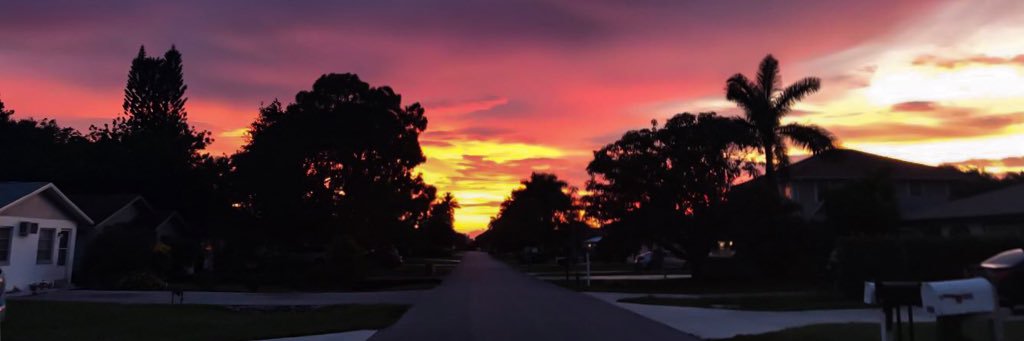 heytoriday's profile banner image