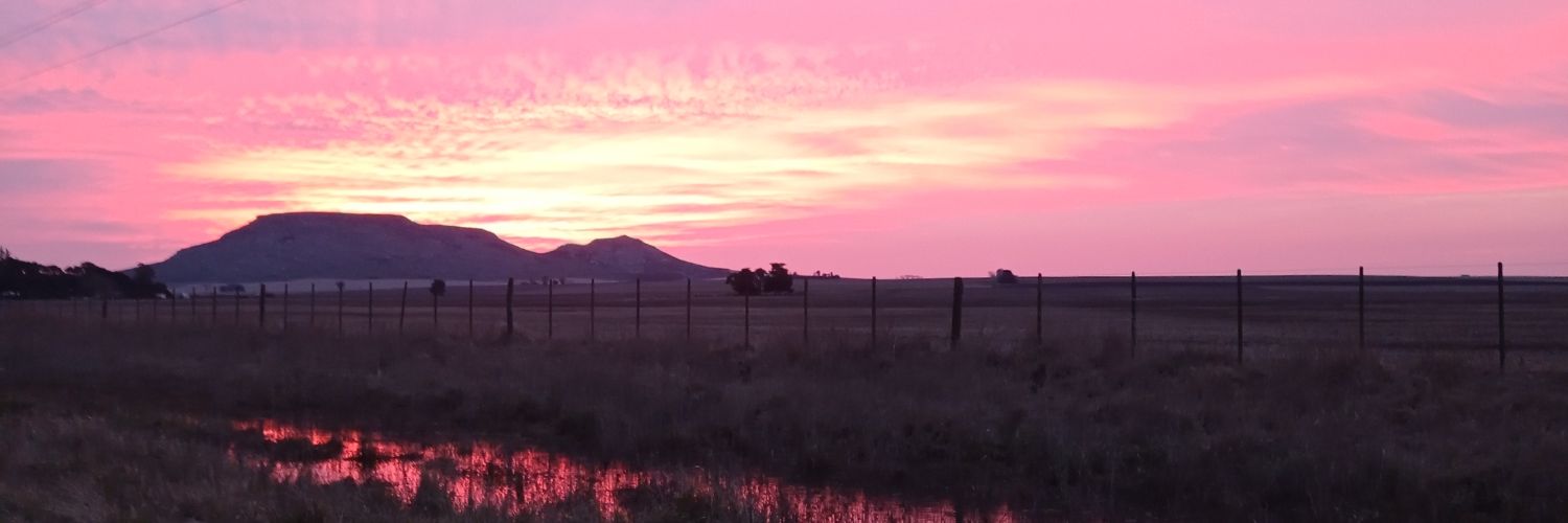 LuBaenz's profile banner image