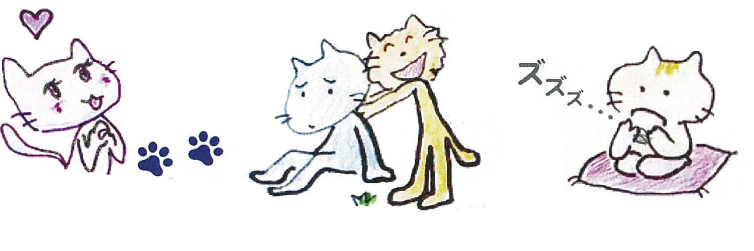 れいわ_お茶会's banner