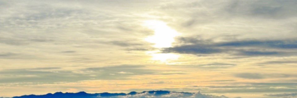 ameriicandog's profile banner image