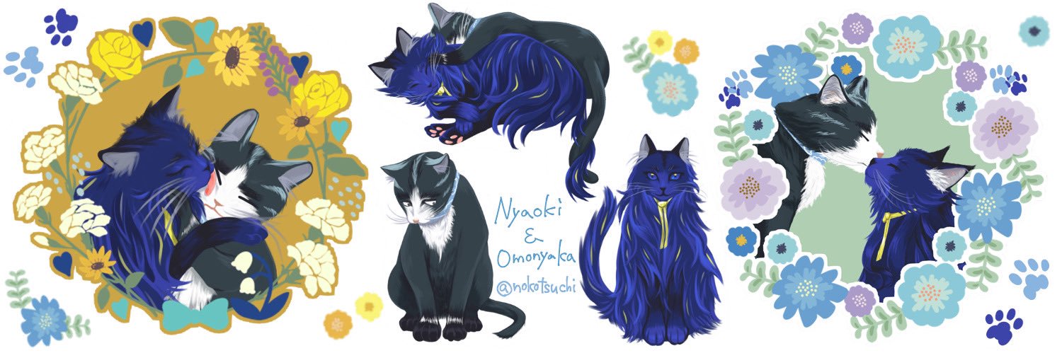 nokotsuchi's profile banner image