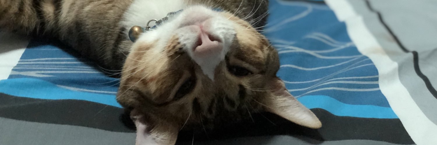 kzl_be's profile banner image