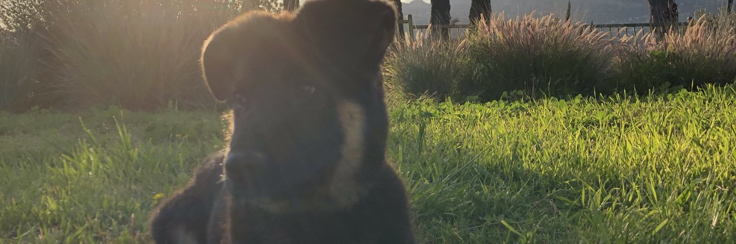 laris_ab's profile banner image