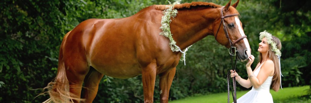 RhoadsAllie's profile banner image