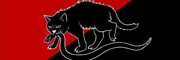 msharebear's profile banner image