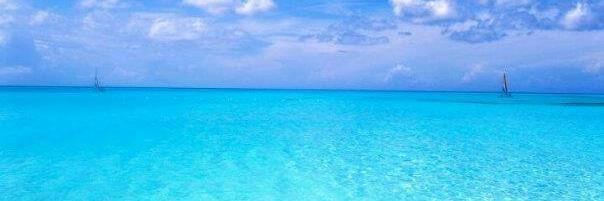 Mandi🇨🇦🇧🇸 banner