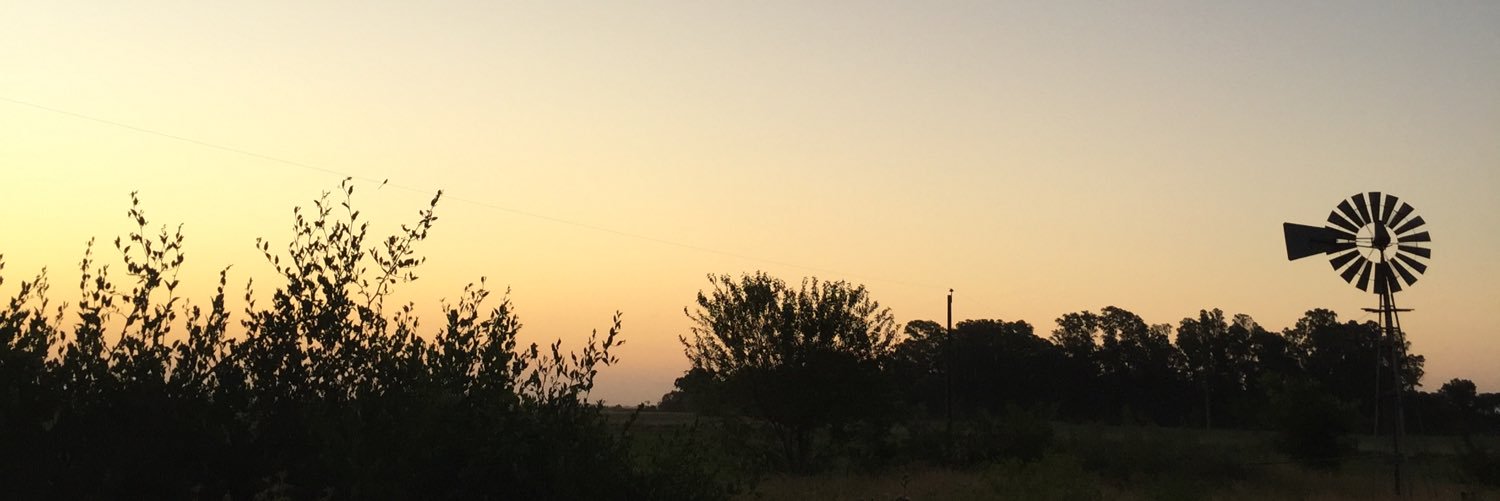 EstebanRaffo's profile banner image