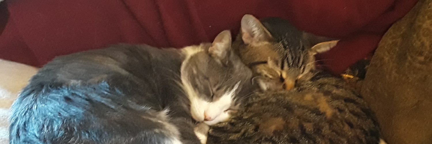 limaet's profile banner image